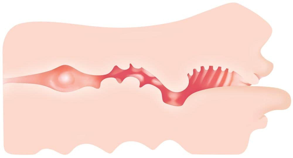 Real Mouth Stroker - Masturbator Realistic cu Forma de Gura, 16,5 cm - detaliu 4